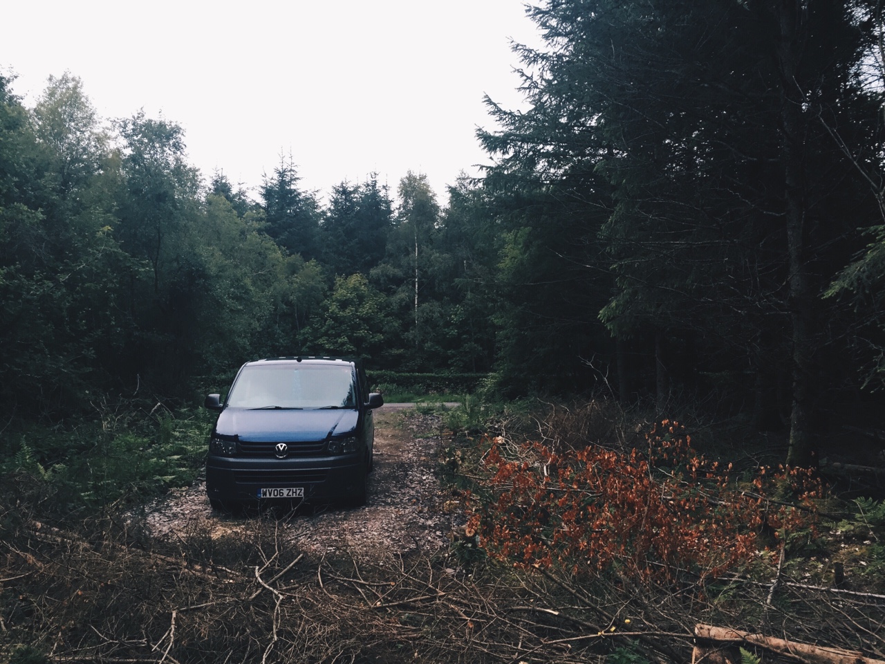 Wild Camping in a small wood